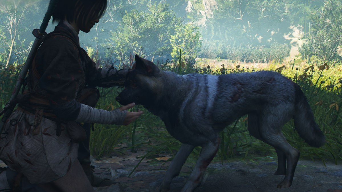 Assassins Creed Shadows thrown to the dogs quest naoe with injured stray dog